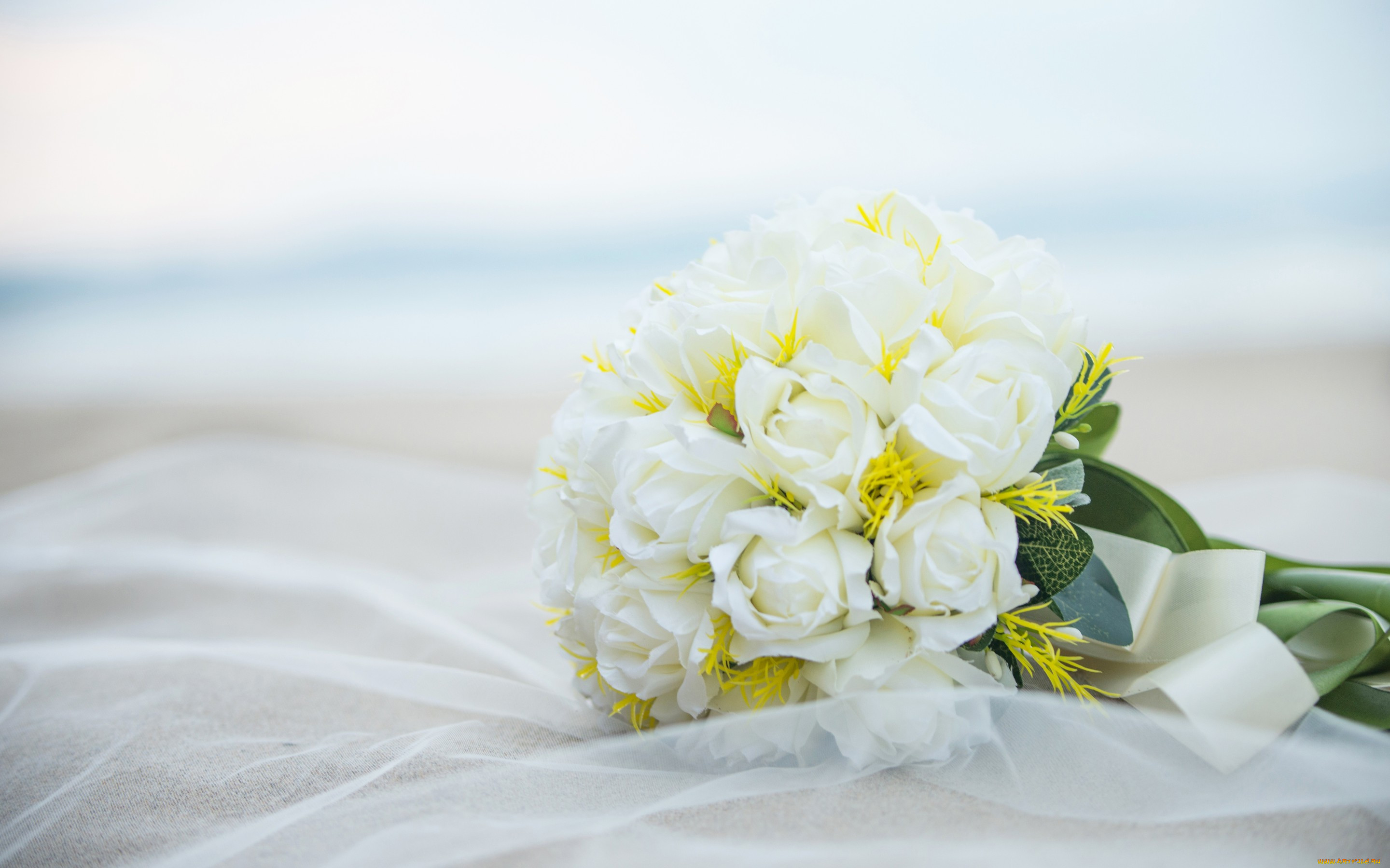 , ,  ,  , bouquets, roses, , , , 
